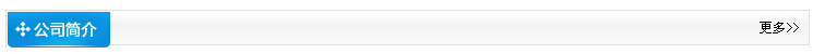 公司简介